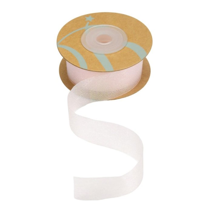 NASTRO IRISE'ORGANZA MM25X25MT CIPRIA